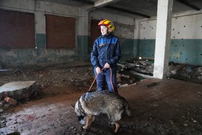 "Для нас — робота, для них — гра": як на Сумщині готують собак-рятувальників для пошуку людей під завалами "Для нас — робота, для них — гра": як на Сумщині готують собак-рятувальників для пошуку людей під завалами
