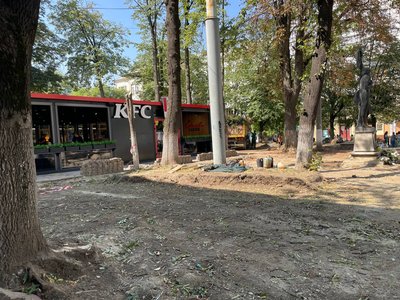 У центрі Чернівців планують відремонтувати сквер за гроші підприємців: який вигляд він матиме У центрі Чернівців планують відремонтувати сквер за гроші підприємців: який вигляд він матиме