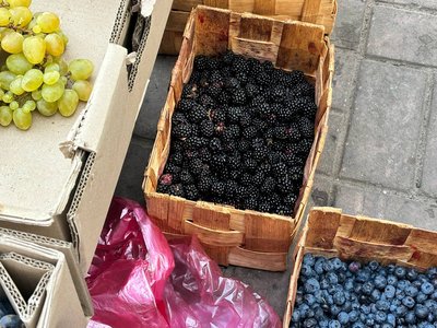 Ціни на ягоди та мед на Житньому ринку Житомира: що пропонують продавці Ціни на ягоди та мед на Житньому ринку Житомира: що пропонують продавці