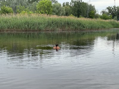"Врятували усіх трьох": у Полтаві стартував купальний сезон