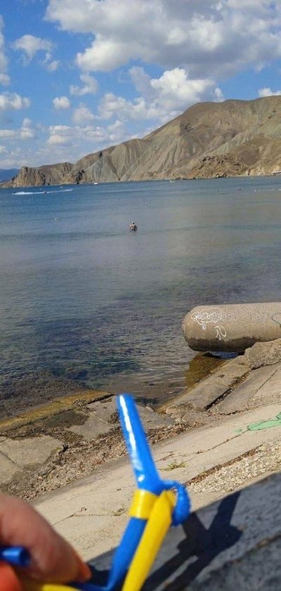 "Sarı şerit"ke Qırımdan umumen eñ az 6 biñ faalci qatıldı "Sarı şerit"ke Qırımdan umumen eñ az 6 biñ faalci qatıldı