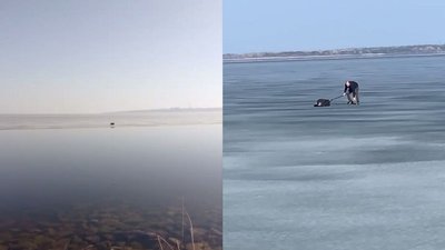 Провів 11 днів на тонкій кризі без їжі: як житель Дніпропетровщини врятував собаку з пастки посеред водойми Провів 11 днів на тонкій кризі без їжі: як житель Дніпропетровщини врятував собаку з пастки посеред водойми