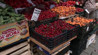 Ціни та попит на черешню в Рівному: що кажуть продавці та покупці