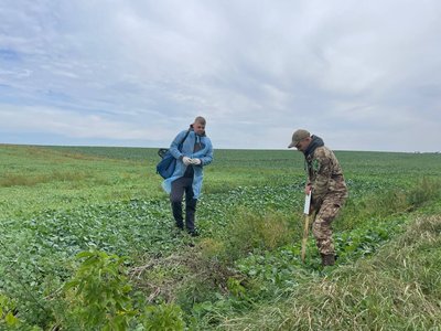 Вакцинація лисиць, сказ, Тернопільщина Вакцинація лисиць, сказ, Тернопільщина