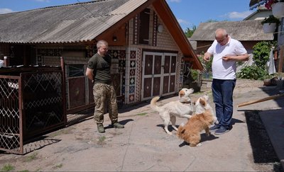 Гвинтік і Дюк, пес, тварини з Донбасу, 25 травня 2026, Тернопіль Гвинтік і Дюк, пес, тварини з Донбасу, 25 травня 2026, Тернопіль