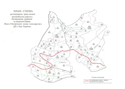 У Карпатах можуть зрубати частину пралісів для будівництва лісової дороги: що про це відомо У Карпатах можуть зрубати частину пралісів для будівництва лісової дороги: що про це відомо