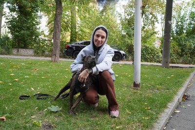 Вчать наново ходити та їсти: у Дніпрі рятують пітбуля Джес, яка три роки прожила в ямі Вчать наново ходити та їсти: у Дніпрі рятують пітбуля Джес, яка три роки прожила в ямі