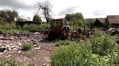 Третина земель не розмінована, поголів'я корів скоротили: як працюють фермери на прикордонні Чернігівщини Третина земель не розмінована, поголів'я корів скоротили: як працюють фермери на прикордонні Чернігівщини