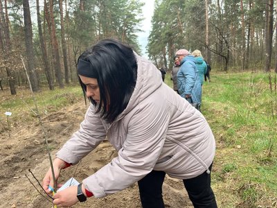 "Ліс Героїв": ветерани та рідні загиблих військових висадили алею дубів поблизу Луцька