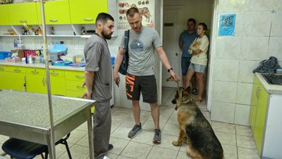 Ознаки сонячного теплового удару в тварин — це віддишка, прискорене серцебиття та судоми Ознаки сонячного теплового удару в тварин — це віддишка, прискорене серцебиття та судоми