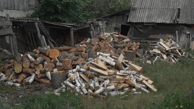 «Дорогі, хоч і в лісі живемо»: 86-річна жителька поліського села розповіла, що сама рубає дрова «Дорогі, хоч і в лісі живемо»: 86-річна жителька поліського села розповіла, що сама рубає дрова