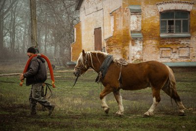 11 перемог в рисистих бігах цьогоріч здобули символи наступного року для Полтавщини 11 перемог в рисистих бігах цьогоріч здобули символи наступного року для Полтавщини