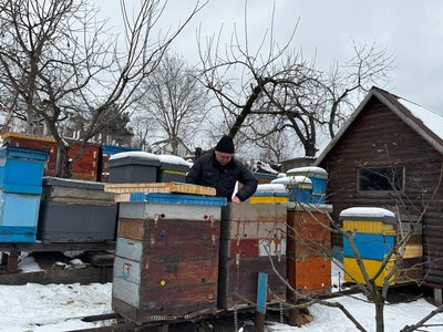 "Головне — врятувати від голоду": як вінницький пасічник допомагає бджолам перезимувати "Головне — врятувати від голоду": як вінницький пасічник допомагає бджолам перезимувати