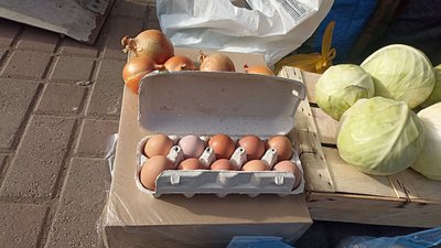 Зростають ціни на яйця: скільки коштує цей продукт в Житомирі та від чого залежить його ціна Зростають ціни на яйця: скільки коштує цей продукт в Житомирі та від чого залежить його ціна