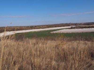 Каховське водосховище, науковці Каховське водосховище, науковці