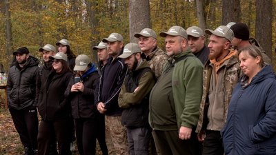 ліс чи не ліс ліс чи не ліс