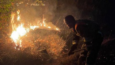 На Черкащині 1 вересня 25 разів горів сухостій На Черкащині 1 вересня 25 разів горів сухостій