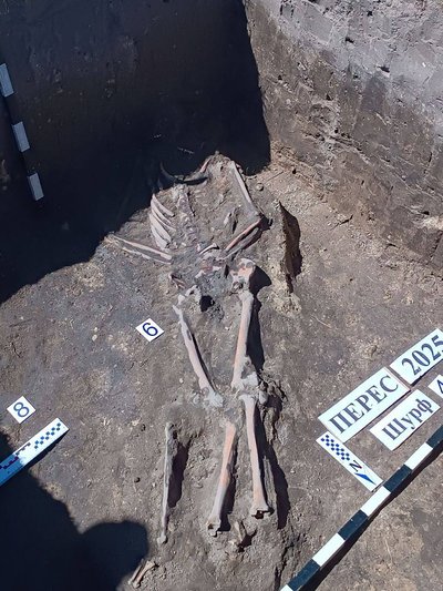 Археологи з Тернопільщини знайшли на Рівненщині 19 людських скелетів, поховання, розкопки