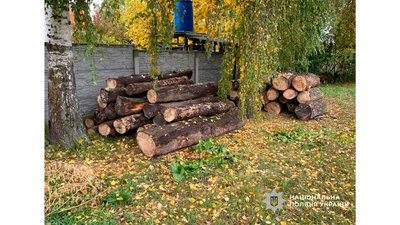 На Чернігівщині поліція викрила підозрюваного у крадіжці спиляних колод з місцевого лісництва На Чернігівщині поліція викрила підозрюваного у крадіжці спиляних колод з місцевого лісництва