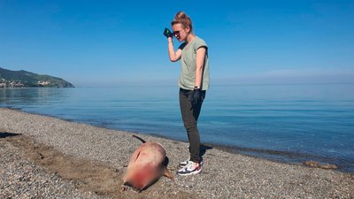 Що робити, якщо ви знайшли дельфіна або морську свиню на березі в Одесі чи області: поради науковців Що робити, якщо ви знайшли дельфіна або морську свиню на березі в Одесі чи області: поради науковців