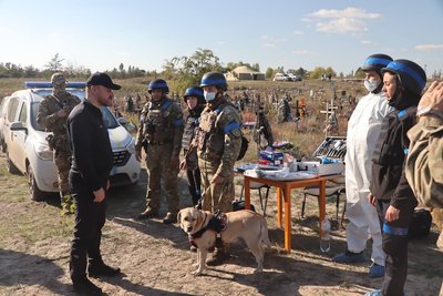 На Донеччині службові собаки допомогли знайти більше тисячі вибухових пристроїв На Донеччині службові собаки допомогли знайти більше тисячі вибухових пристроїв