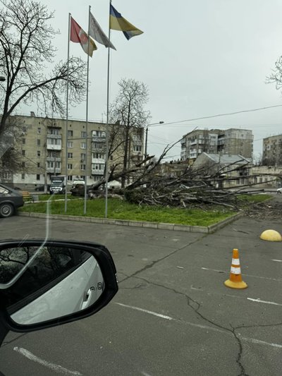 Деревопад на вулицях міста: наслідки негоди в Одесі Деревопад на вулицях міста: наслідки негоди в Одесі
