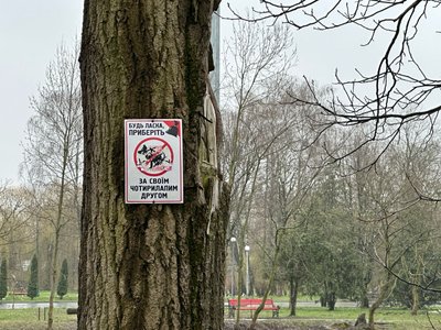 сопільче, парк, вигул тварин сопільче, парк, вигул тварин