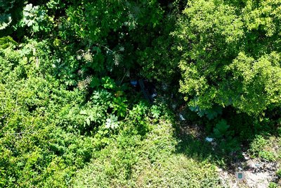 Тіло знайшли на сміттєзвалищі: на Рівненщині чоловіка підозрюють у вбивстві рідного брата Тіло знайшли на сміттєзвалищі: на Рівненщині чоловіка підозрюють у вбивстві рідного брата