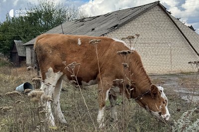 Наслідки обстрілу Степанівка Донецька область 15 жовтня 2025 рік Наслідки обстрілу Степанівка Донецька область 15 жовтня 2025 рік