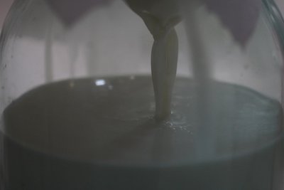 На Миколаївщині виготовляють крафтові козячі сири: як працює сироварня