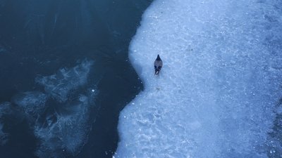 замерзла ріка у Харкові замерзла ріка у Харкові