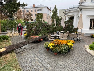 Постраждала розповіла про наслідки падіння дерева на неї в кавʼярні у Полтаві Постраждала розповіла про наслідки падіння дерева на неї в кавʼярні у Полтаві