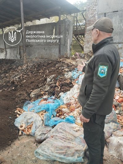 Світлину мертвого лева на рівненському заводі опублікували в місцевій інстаграм-спільноті. Що про це відомо Світлину мертвого лева на рівненському заводі опублікували в місцевій інстаграм-спільноті. Що про це відомо