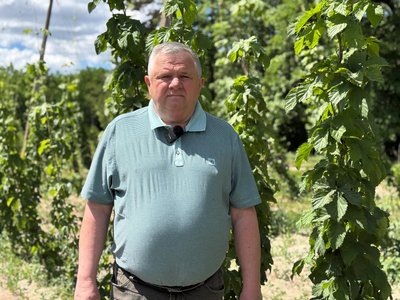 У селі Ражнів працює єдине на Львівщині підприємство з вирощування хмелю У селі Ражнів працює єдине на Львівщині підприємство з вирощування хмелю
