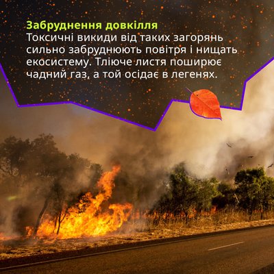 Запах осені: чому восени ми відчуваємо запах горілого? Запах осені: чому восени ми відчуваємо запах горілого?