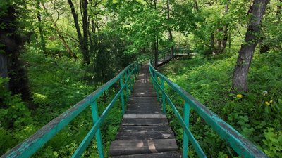 Назви сіл Чернігівщини: легенди та факти про походження назви села Нові Яриловичі Назви сіл Чернігівщини: легенди та факти про походження назви села Нові Яриловичі