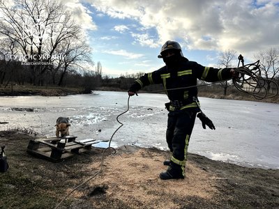 В Одесі під час порятунку собаки чоловік провалився під кригу В Одесі під час порятунку собаки чоловік провалився під кригу