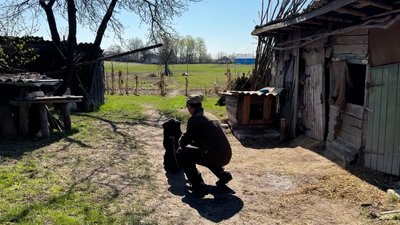 На Чернігівщині чоловік тримає корову, якій майже 30 років На Чернігівщині чоловік тримає корову, якій майже 30 років
