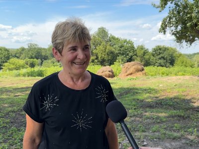 "Мінізоопарк — окраса Беседівки": як у селі на Сумщині вирощують оленів та ланей "Мінізоопарк — окраса Беседівки": як у селі на Сумщині вирощують оленів та ланей
