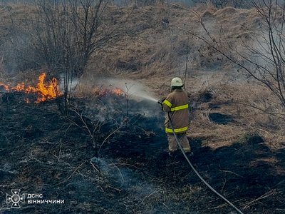 Несправність еклктросистеми: на Вінниччині загорілась машина з дровами Несправність еклктросистеми: на Вінниччині загорілась машина з дровами