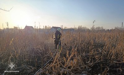 На Черкащині через необережність вигоріло понад два гектари сухостою На Черкащині через необережність вигоріло понад два гектари сухостою