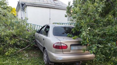 На Черкащині водійка напідпитку в'їхала у паркан та дерево: двох дітей госпіталізували На Черкащині водійка напідпитку в'їхала у паркан та дерево: двох дітей госпіталізували