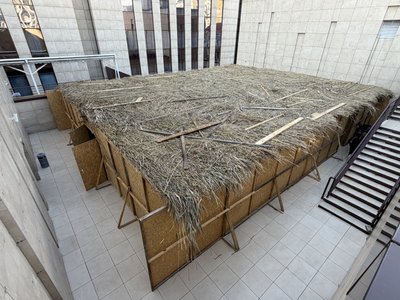 У Дніпрі з'явилися найбільші сукки: що це та яке призначення У Дніпрі з'явилися найбільші сукки: що це та яке призначення