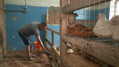 Грант "Власна справа": чернігівець Дмитро Глузд відкрив птахоферму Грант "Власна справа": чернігівець Дмитро Глузд відкрив птахоферму