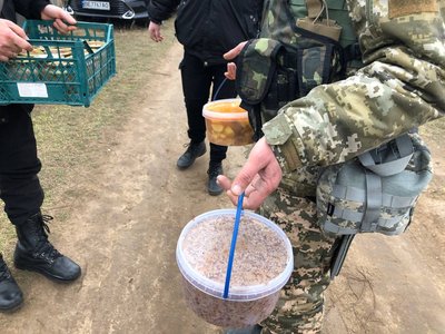 Щотижня миколаївські волонтери відвозять продукти військовим ЗСУ Щотижня миколаївські волонтери відвозять продукти військовим ЗСУ