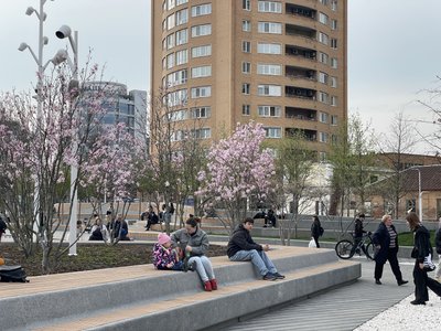 У Дніпрі розквітли сакури та магнолії: фоторепортаж