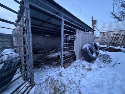 З Дніпропетровщини евакуювали лева, який у морози перебував у відкритому вольєрі З Дніпропетровщини евакуювали лева, який у морози перебував у відкритому вольєрі