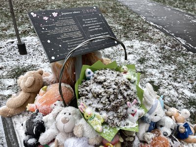 Дім у Полтаві, де внаслідок ракетного удару загинули 14 людей, 2025-го не відбудували Дім у Полтаві, де внаслідок ракетного удару загинули 14 людей, 2025-го не відбудували