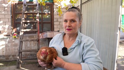 Херсон, курка Черчилль, Ольга Семенова, Чорнобаївська птахофабрика Херсон, курка Черчилль, Ольга Семенова, Чорнобаївська птахофабрика