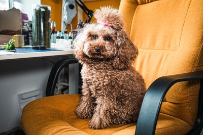 Музей, костел, "Я чекаю, бо кохаю": майстриня створює міні-фігурки сумських місць Музей, костел, "Я чекаю, бо кохаю": майстриня створює міні-фігурки сумських місць